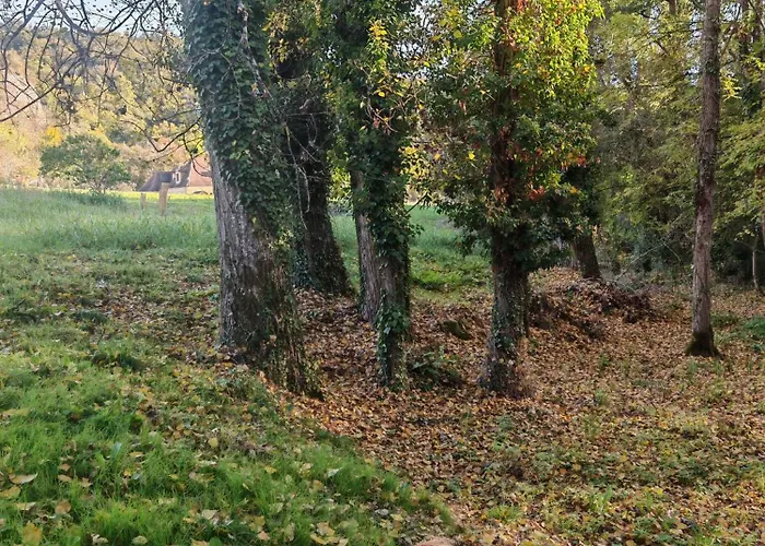 La Chaumine Les Eyzies